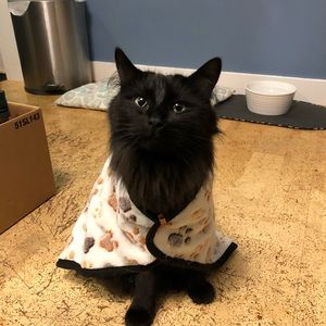 Meet your Posher, John